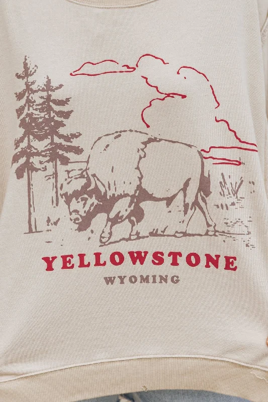 Free People Yellowstone Graphic Camden Sweatshirt